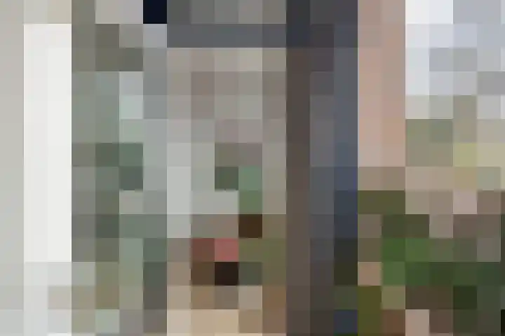 Zevenhuizen 16 Alkmaar thumbnail 7