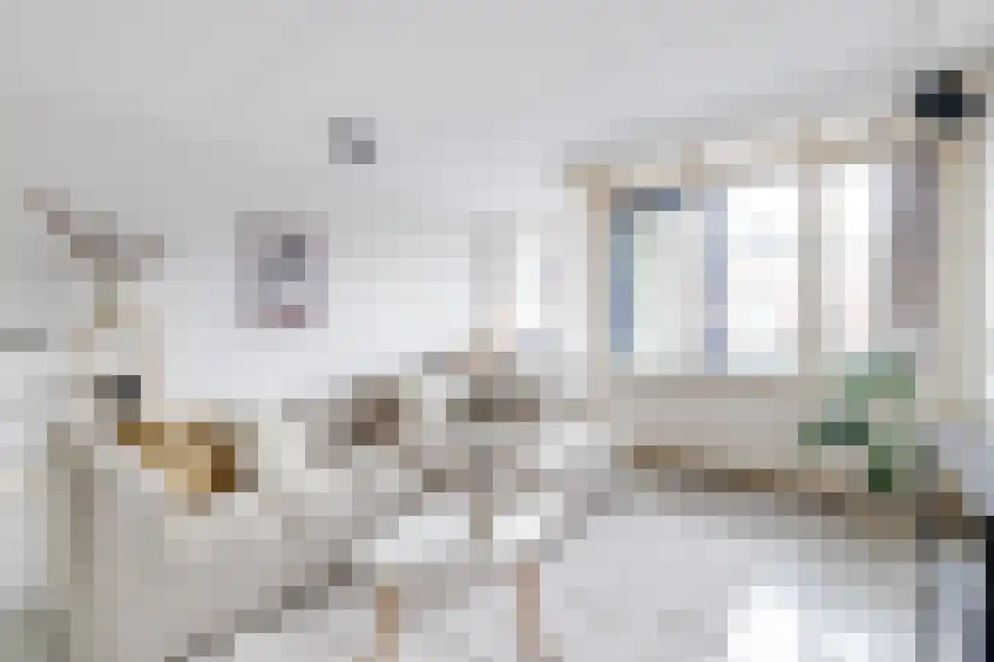 Zevenhuizen 20 Alkmaar thumbnail 10