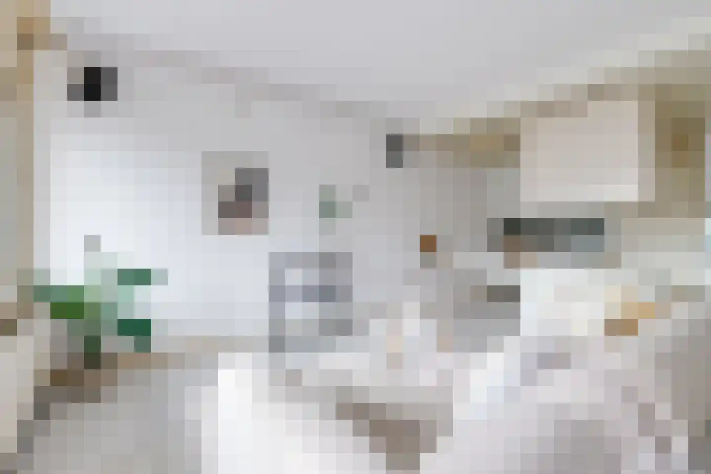 Zevenhuizen 20 Alkmaar thumbnail 11