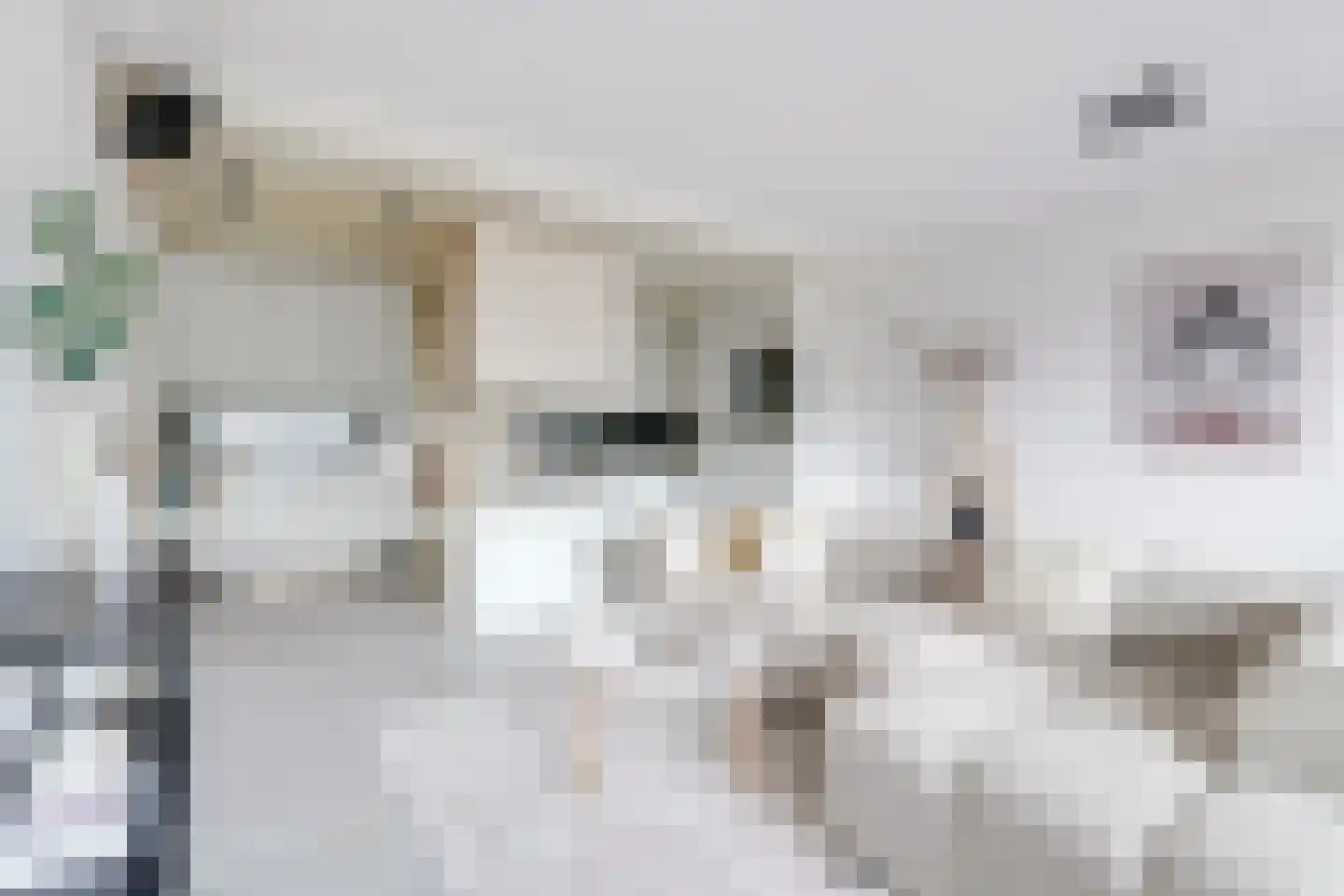 Zevenhuizen 20 Alkmaar thumbnail 12
