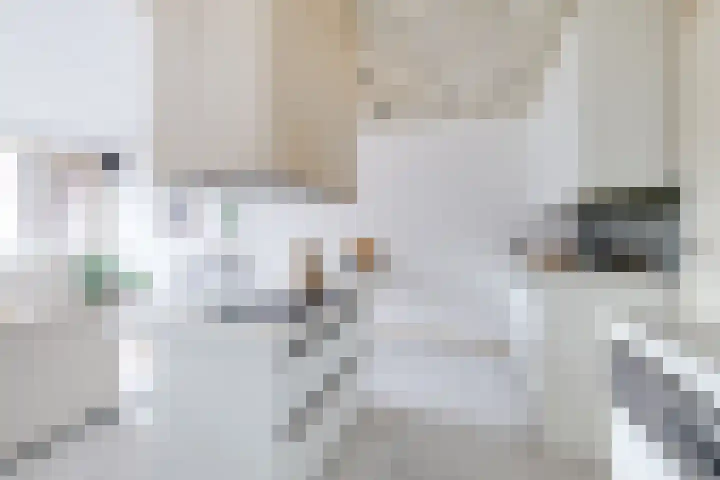 Zevenhuizen 20 Alkmaar thumbnail 13