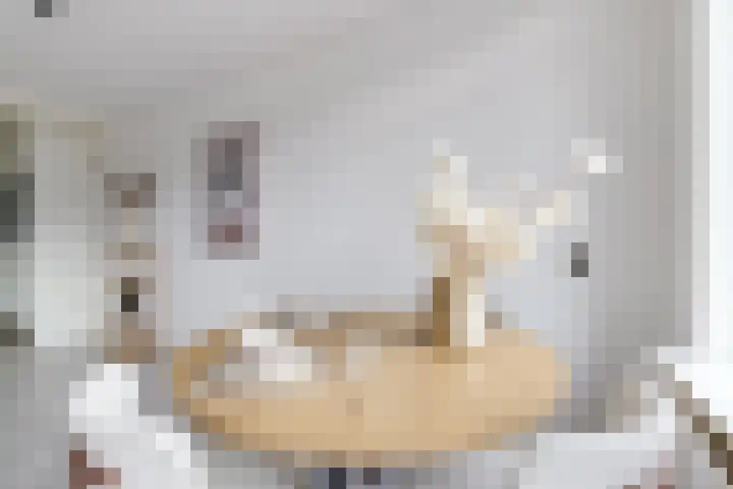 Zevenhuizen 20 Alkmaar thumbnail 16