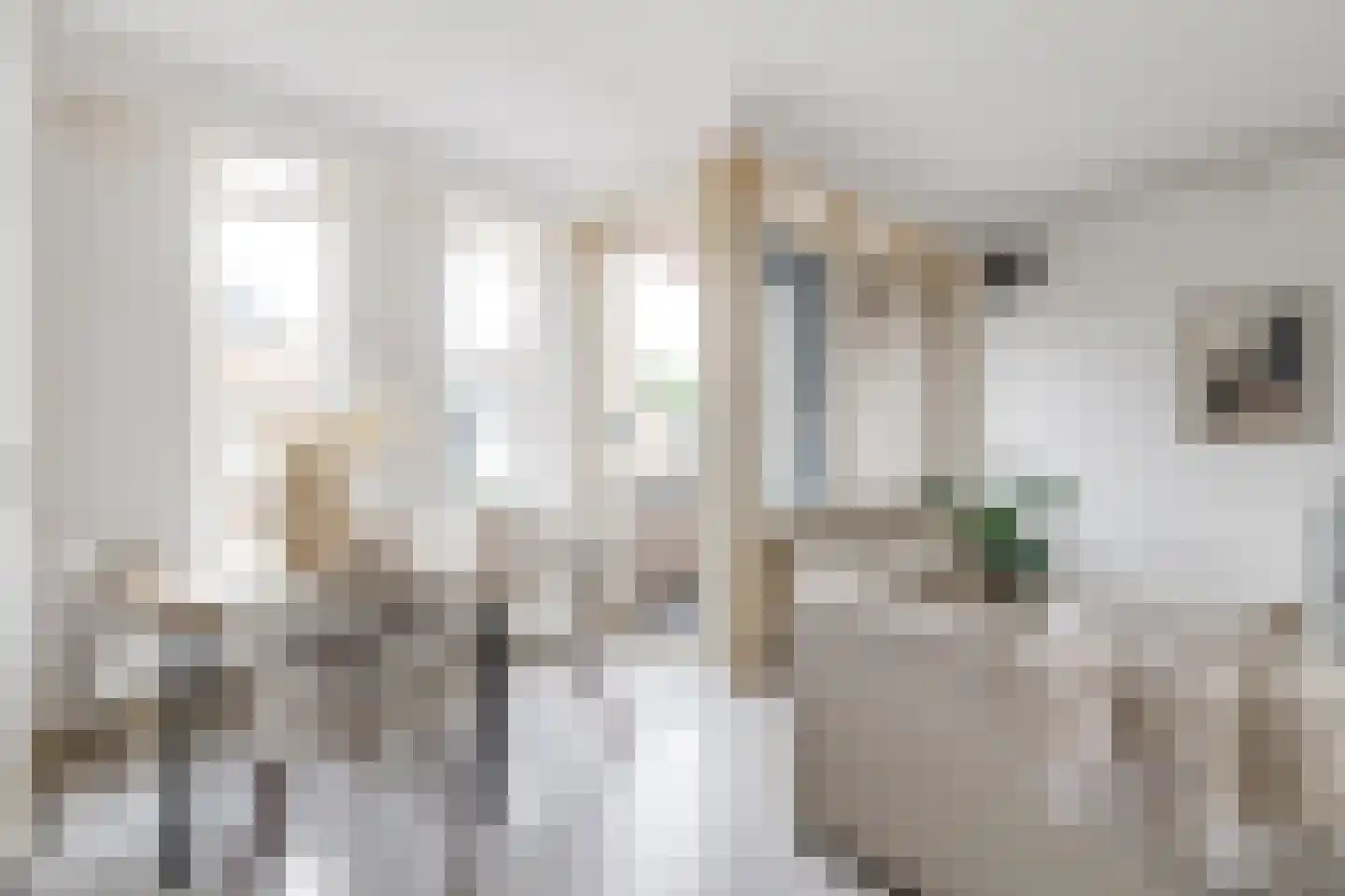 Zevenhuizen 20 Alkmaar thumbnail 17