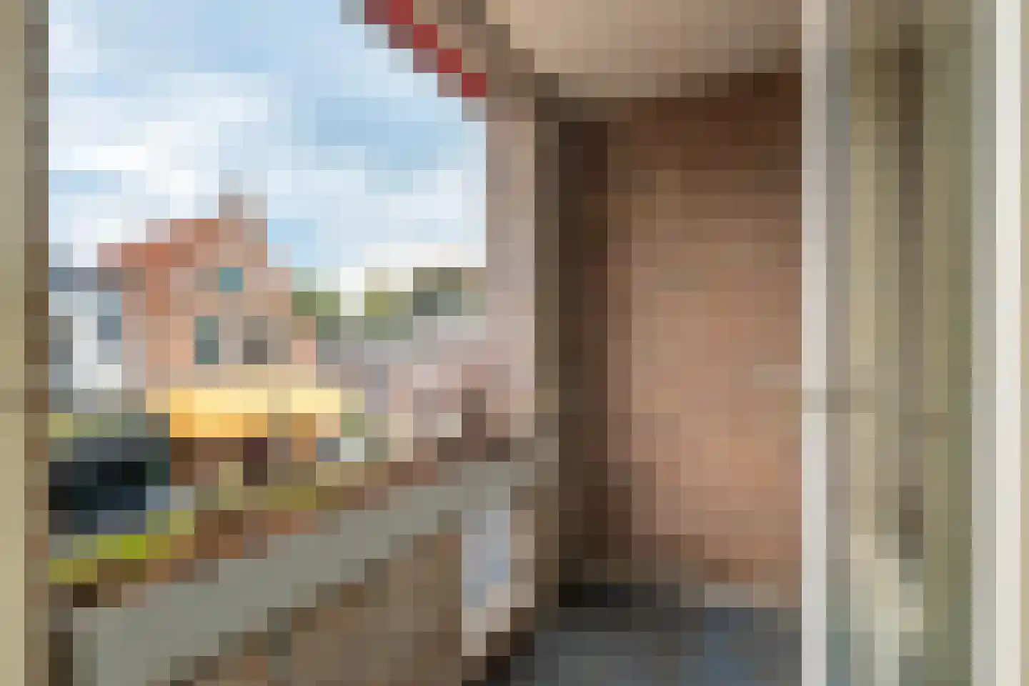 Zevenhuizen 20 Alkmaar thumbnail 18