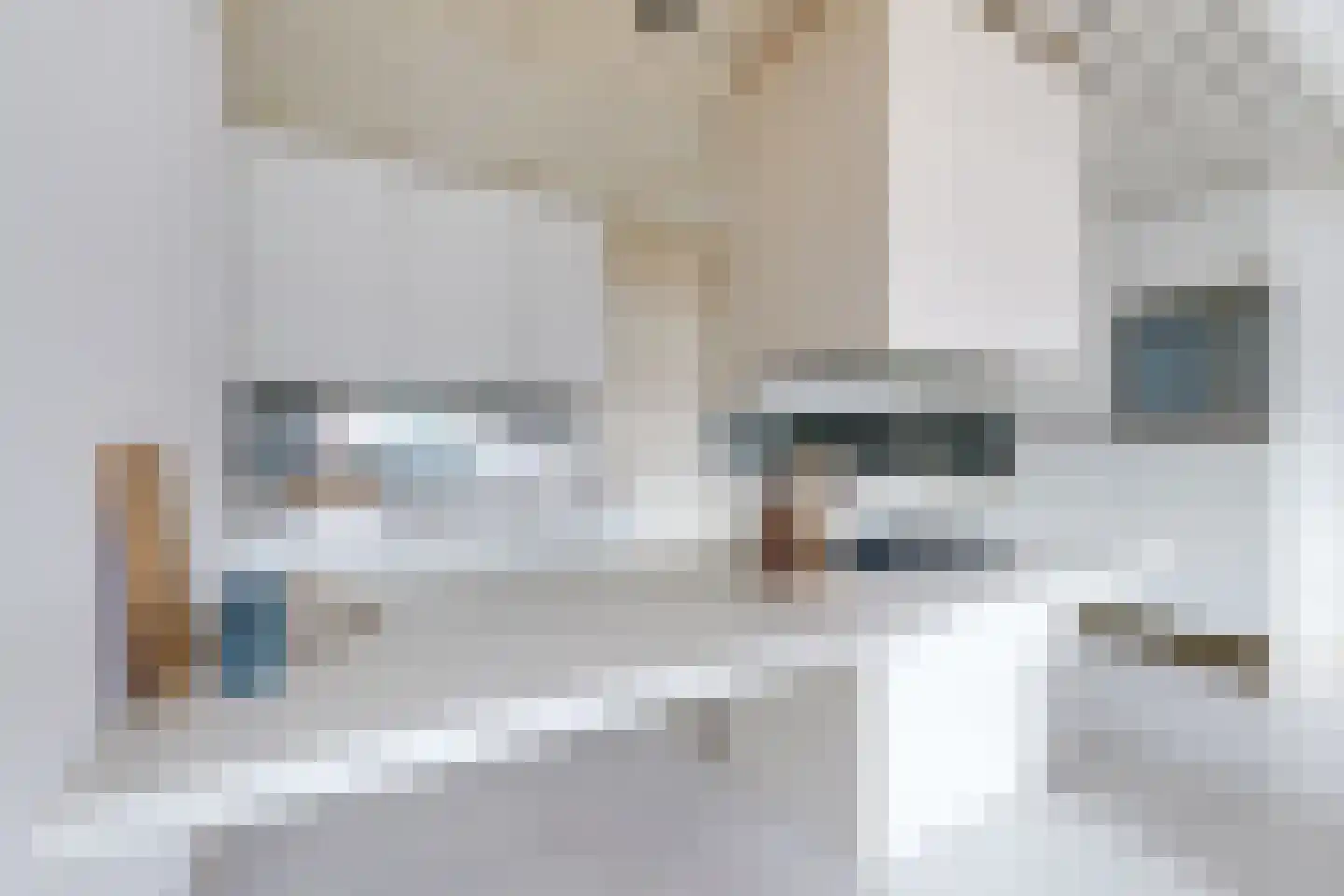 Zevenhuizen 20 Alkmaar thumbnail 4