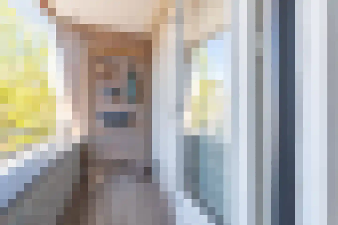 Zevenhuizen 22 Alkmaar thumbnail 12