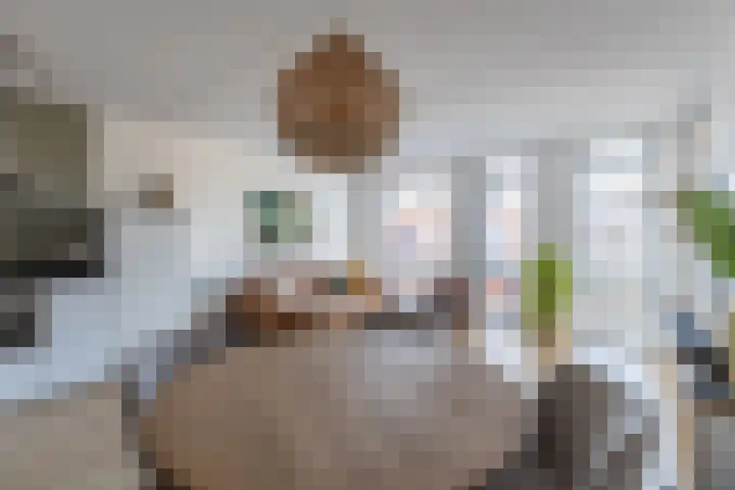 Zevenhuizen 22 Alkmaar thumbnail 6