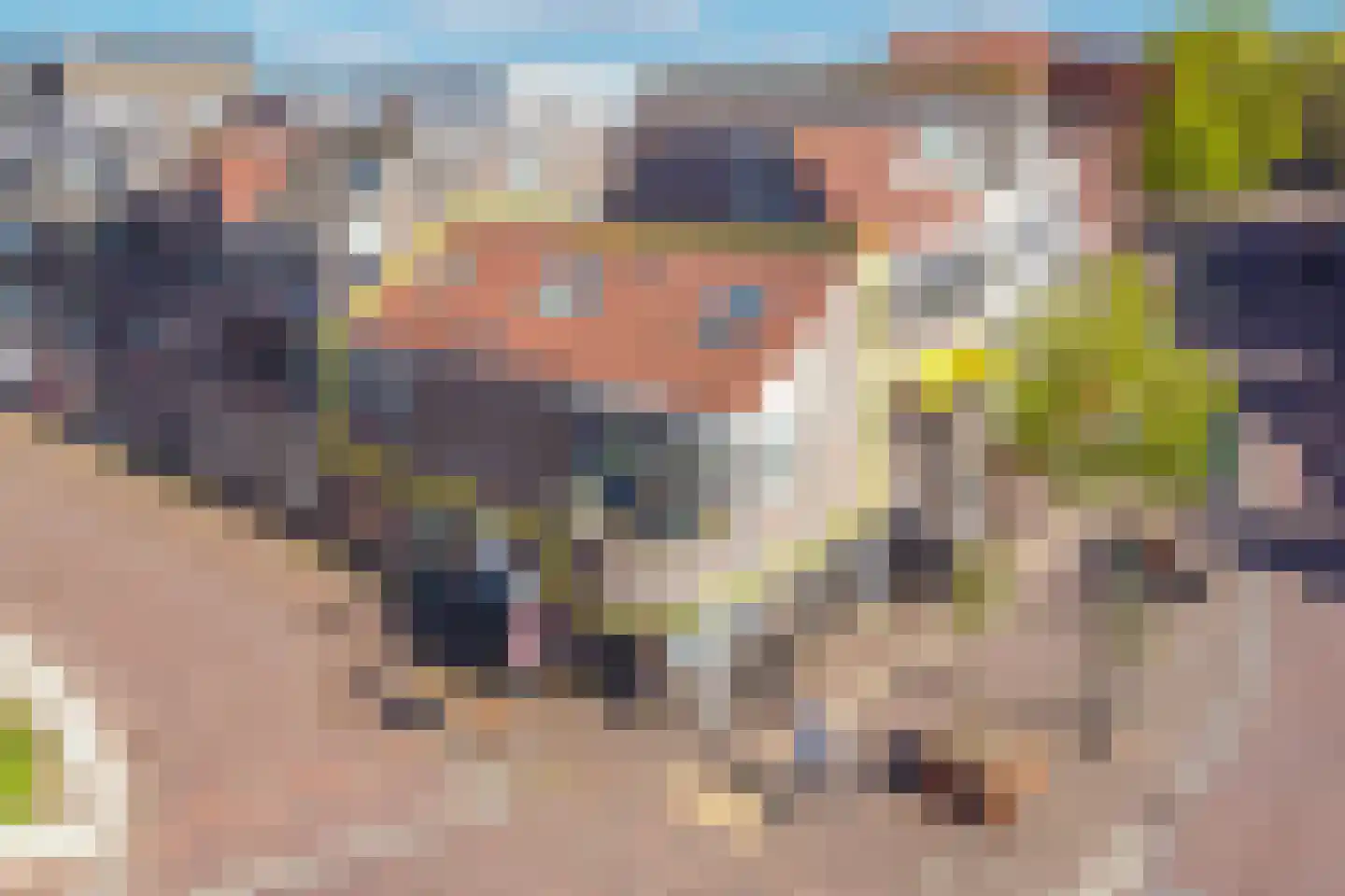 Zevenhuizen 26 Alkmaar
