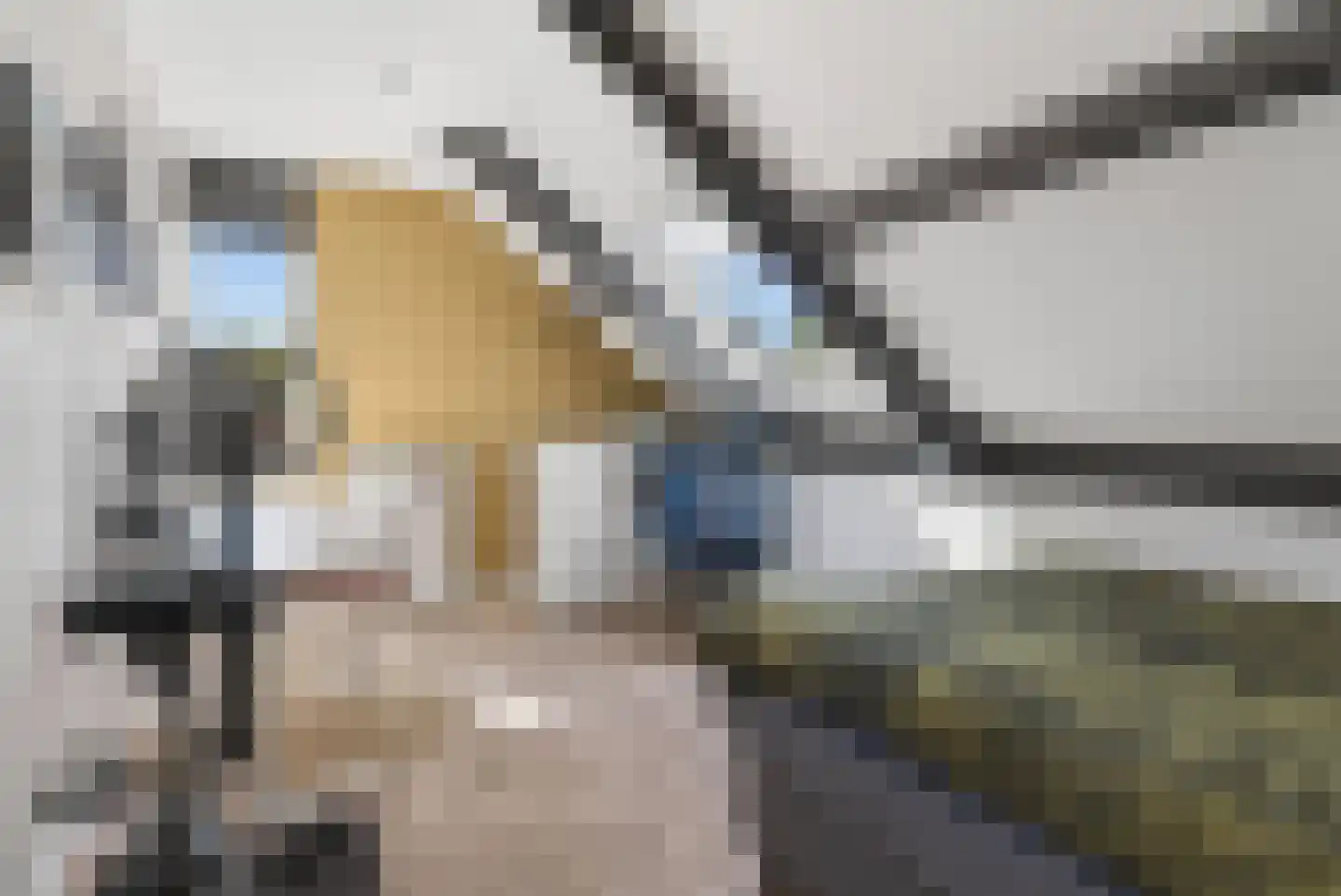 Zevenhuizen 26 Alkmaar thumbnail 16