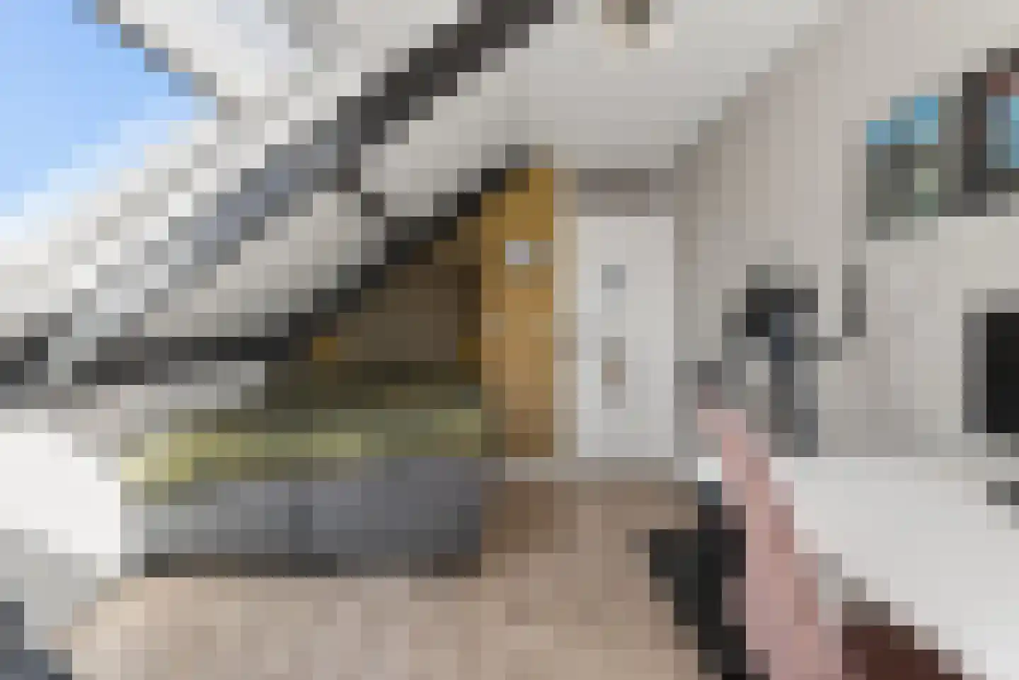 Zevenhuizen 26 Alkmaar thumbnail 17