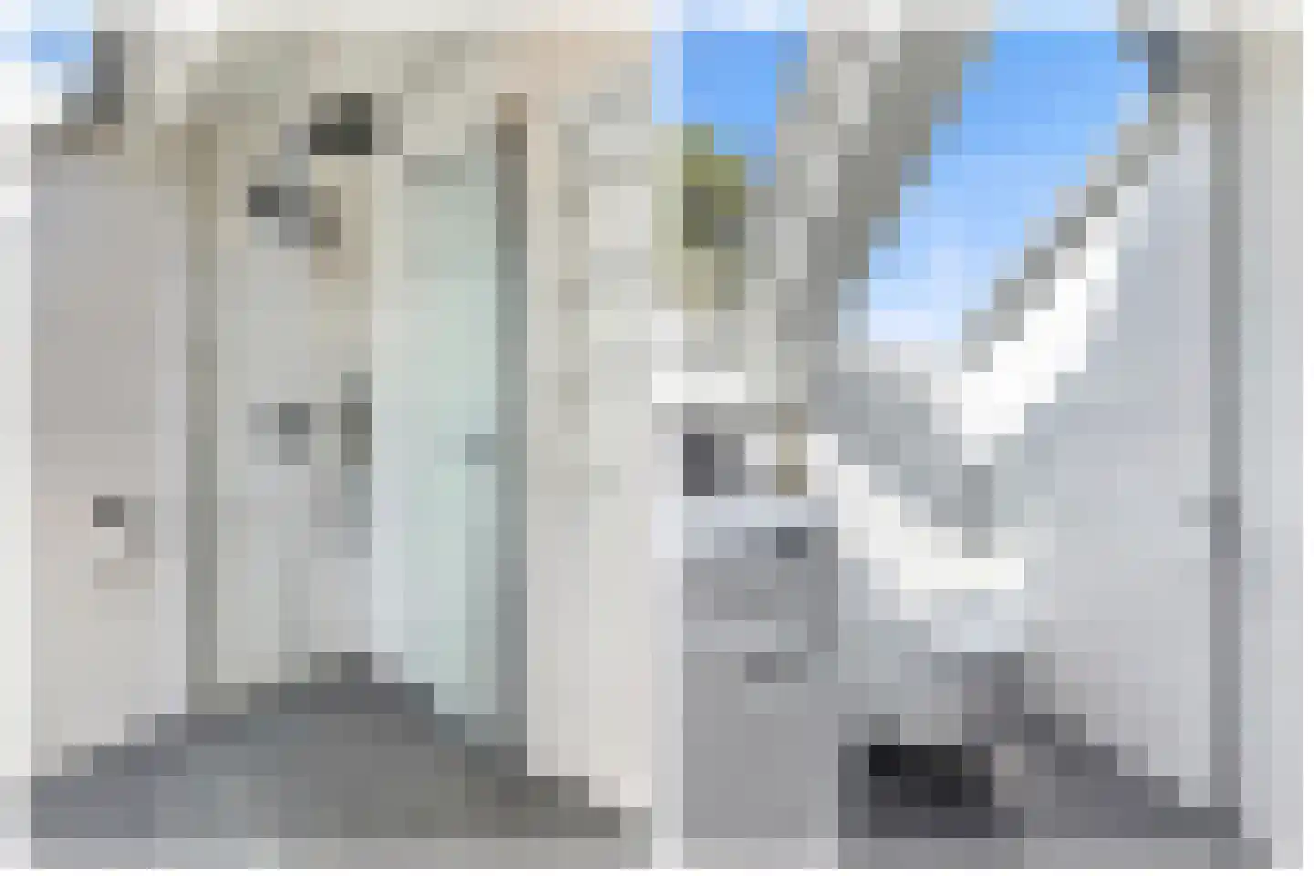 Zevenhuizen 26 Alkmaar thumbnail 20