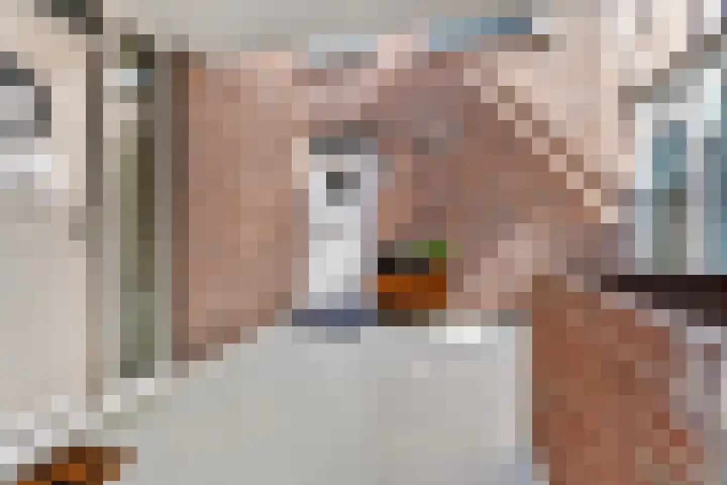 Zevenhuizen 26 Alkmaar thumbnail 23