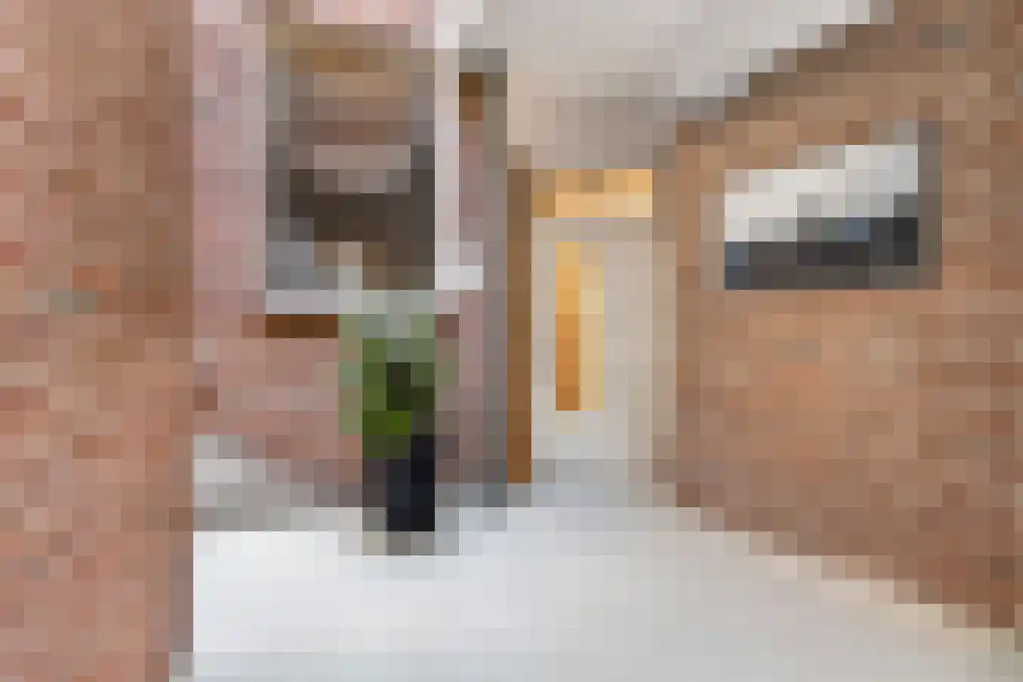 Zevenhuizen 26 Alkmaar thumbnail 25