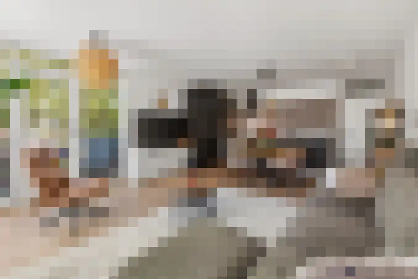 Zevenhuizen 26 Alkmaar thumbnail 4