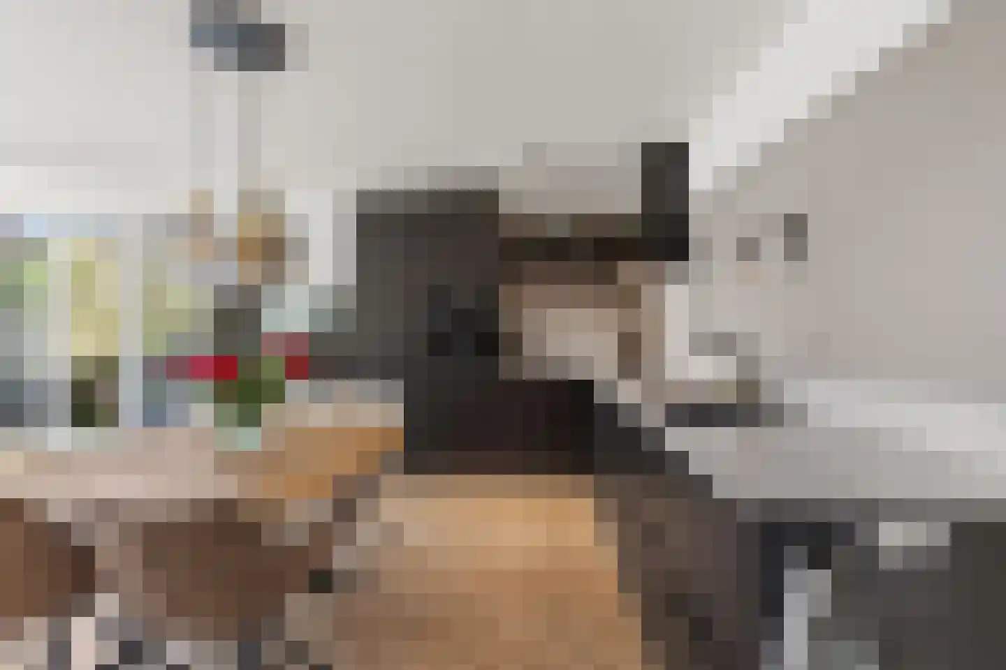 Zevenhuizen 26 Alkmaar thumbnail 7