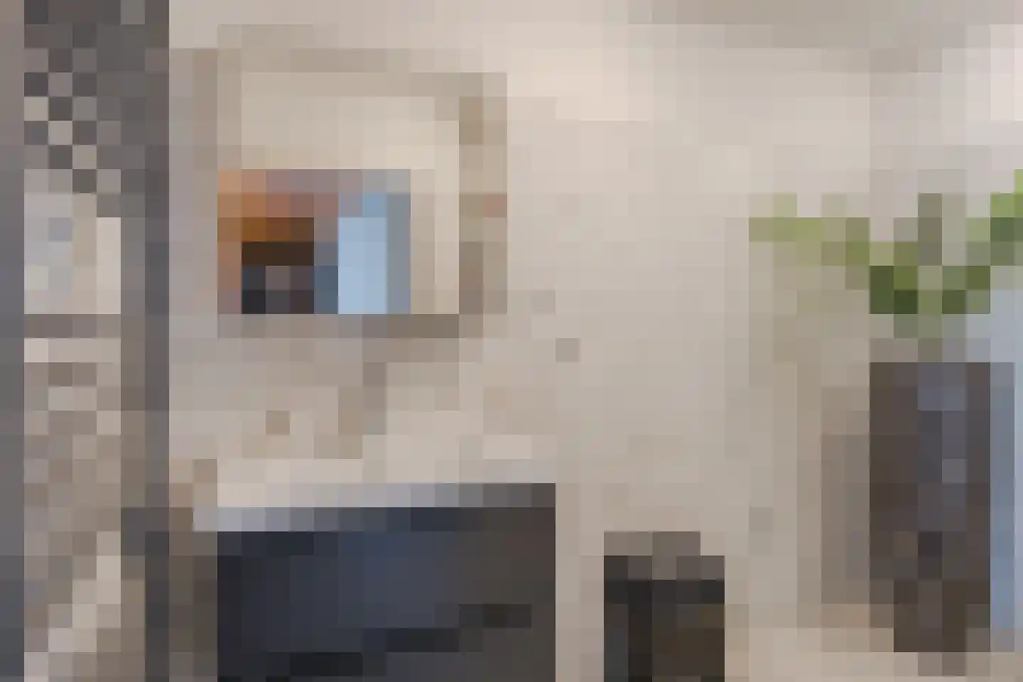 Zevenhuizen 34 Alkmaar thumbnail 21