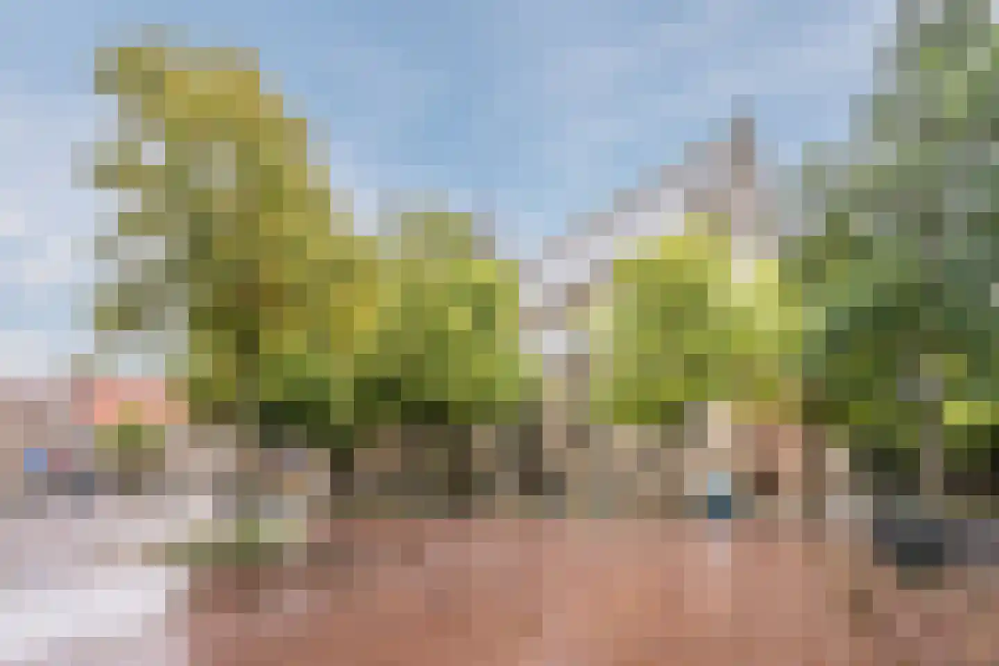 Zevenhuizen 34 Alkmaar thumbnail 41
