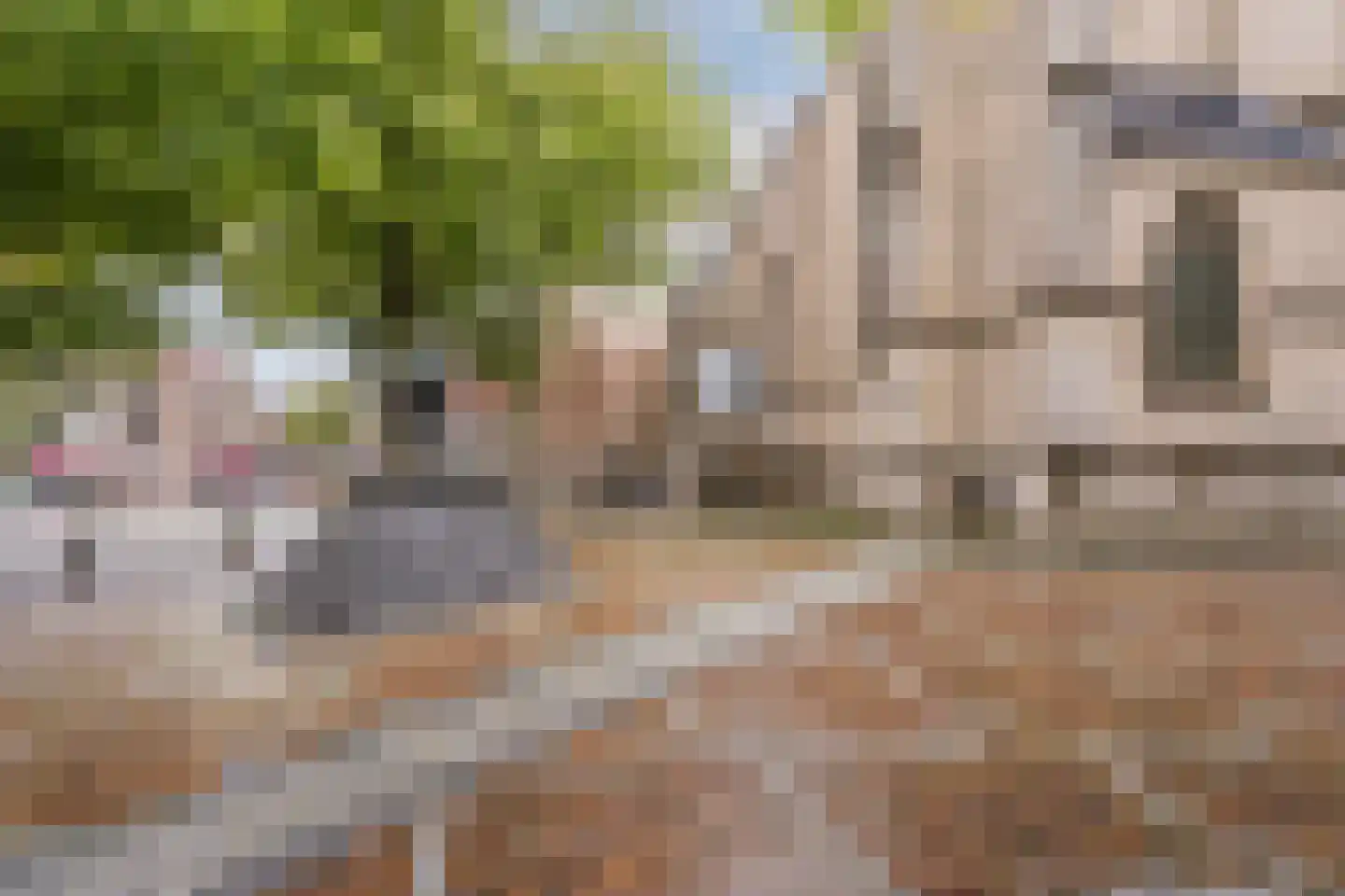 Zevenhuizen 34 Alkmaar thumbnail 42
