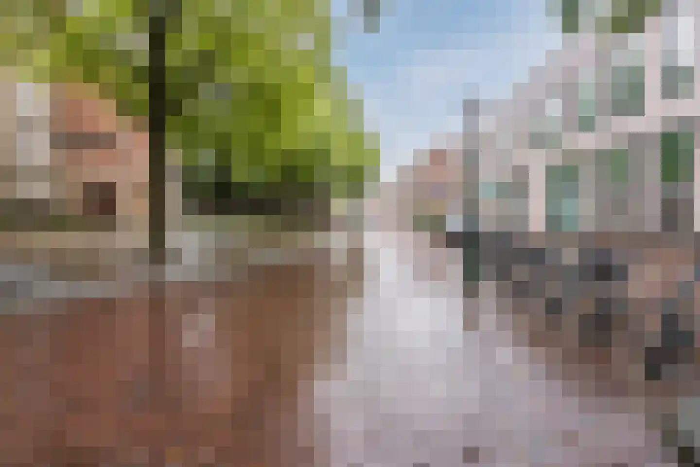 Zevenhuizen 34 Alkmaar thumbnail 43
