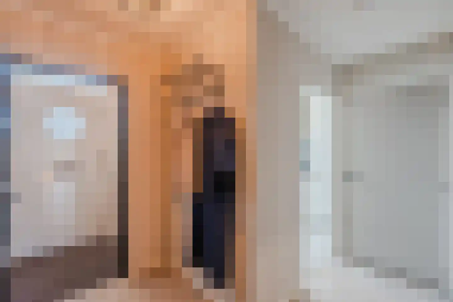 Zevenhuizen 34 Alkmaar thumbnail 8