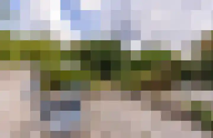 Zevenhuizen 39 Oosterend thumbnail 26