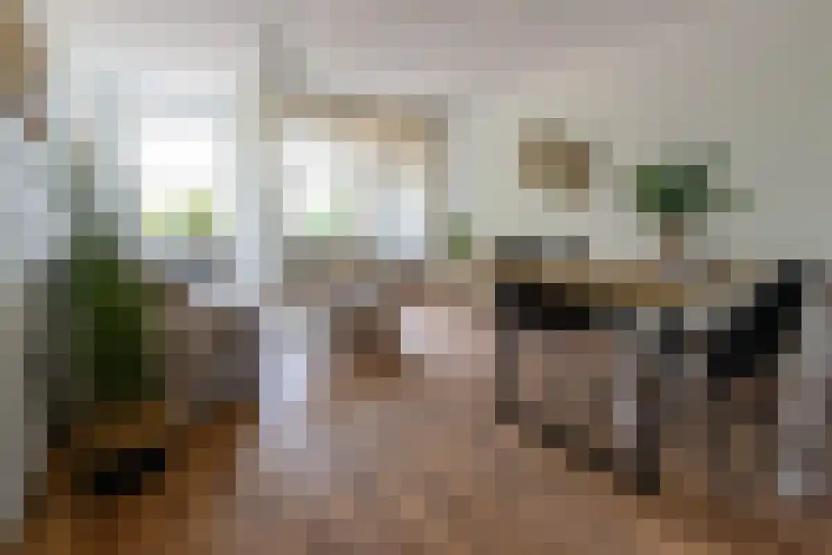 Zevenhuizen 40 Alkmaar thumbnail 16
