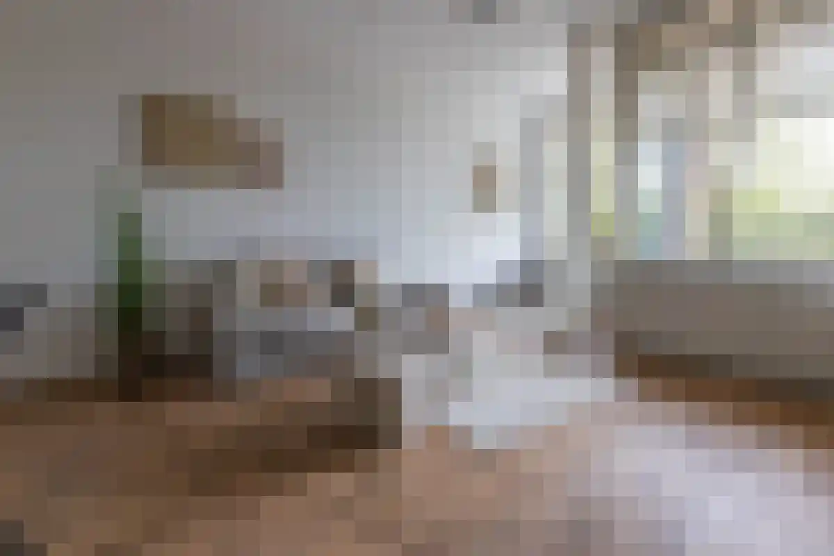 Zevenhuizen 40 Alkmaar thumbnail 4