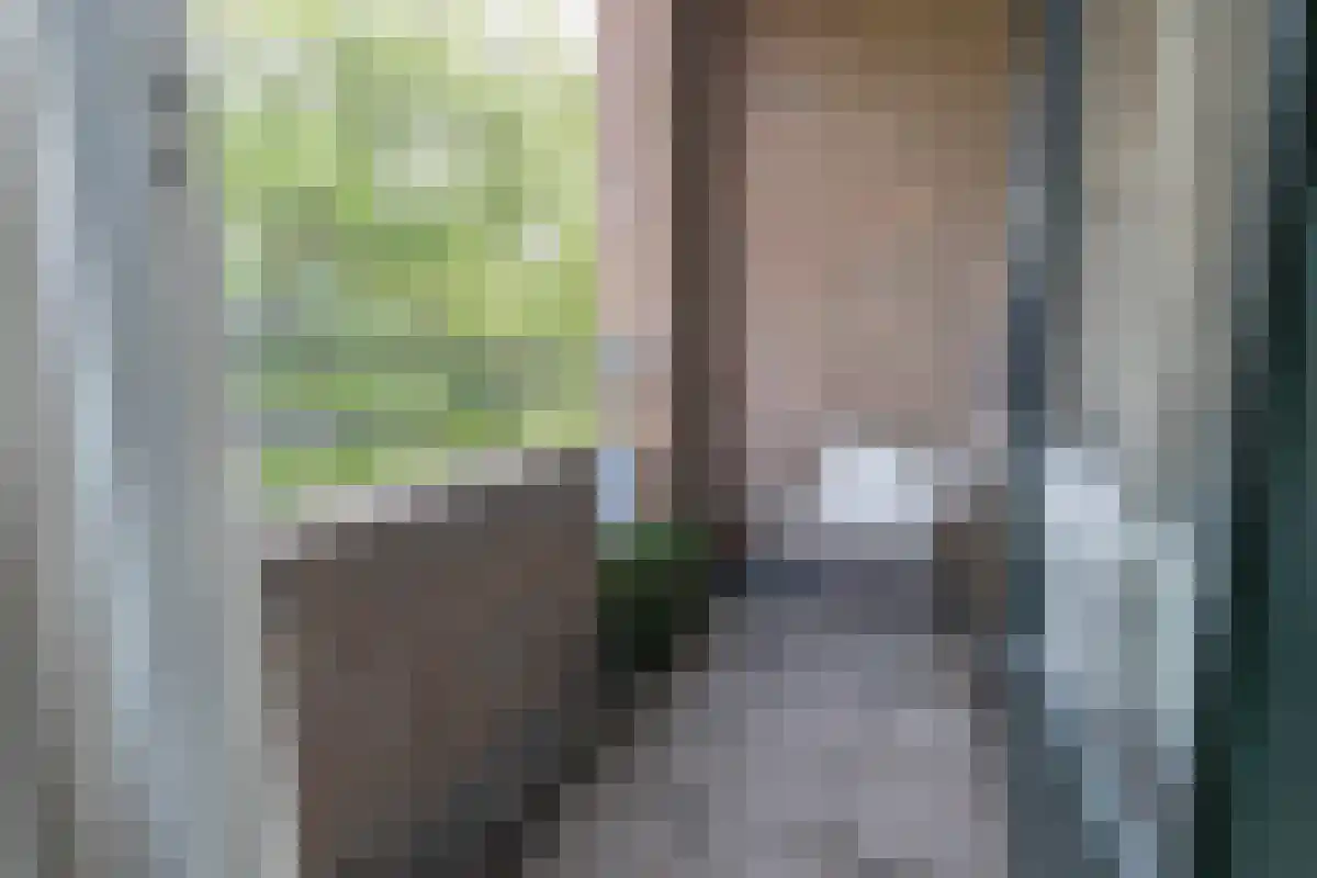 Zevenhuizen 40 Alkmaar thumbnail 6