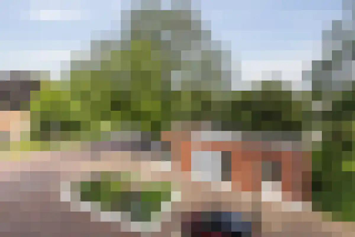 Zevenhuizen 40 Alkmaar thumbnail 8