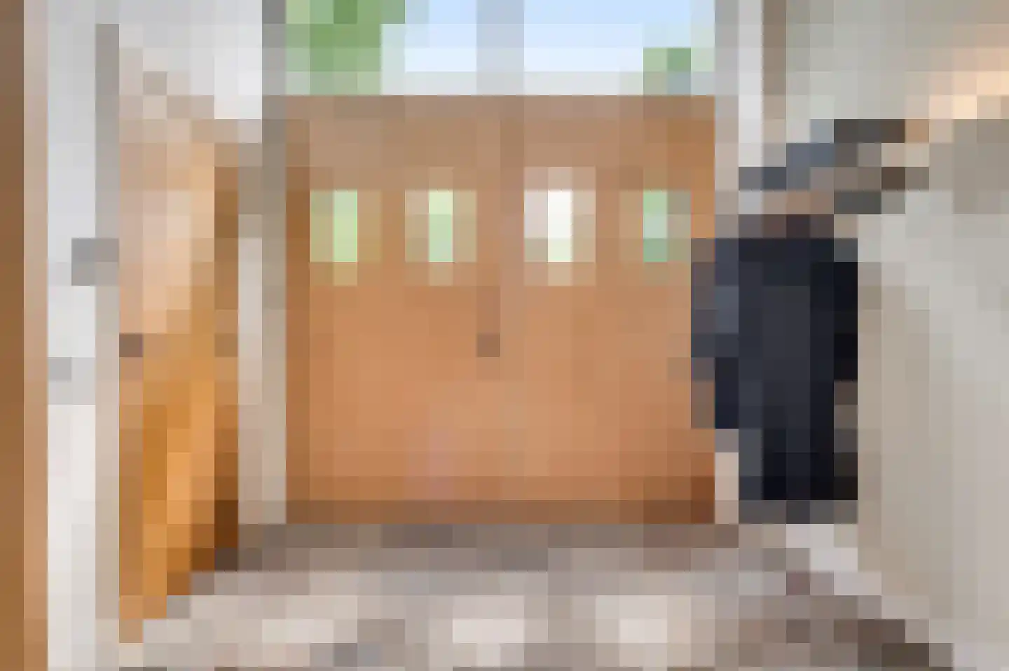 Zevenhuizen 5 a Leende thumbnail 10