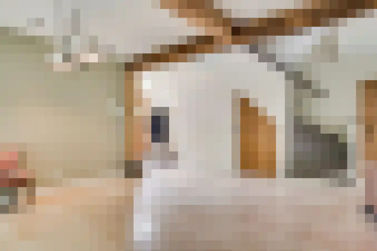 Zevenhuizen 5 a Leende thumbnail 16