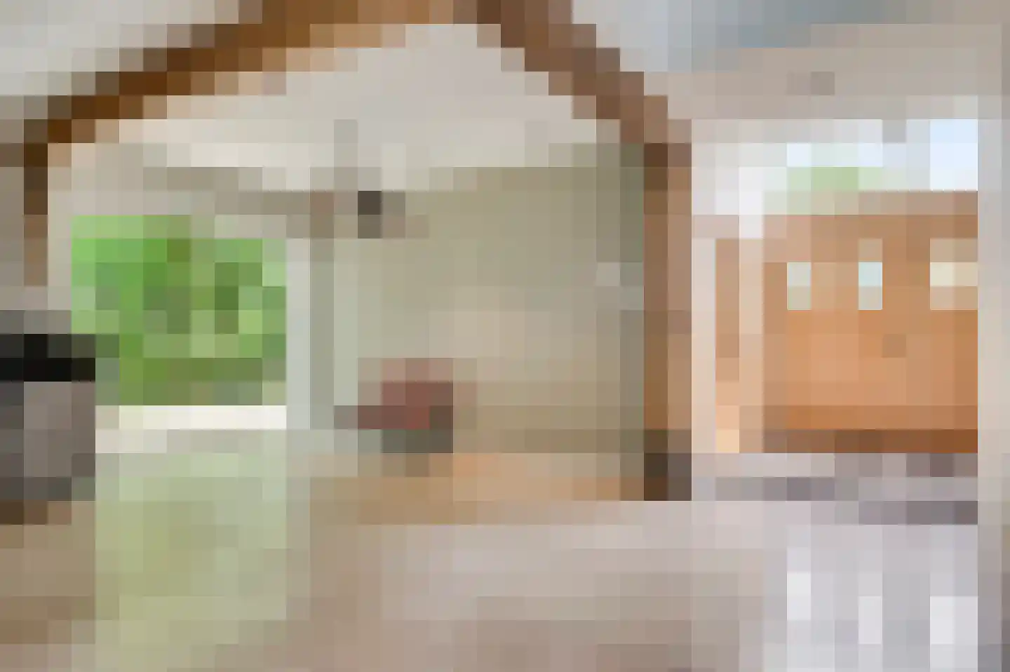 Zevenhuizen 5 a Leende thumbnail 17