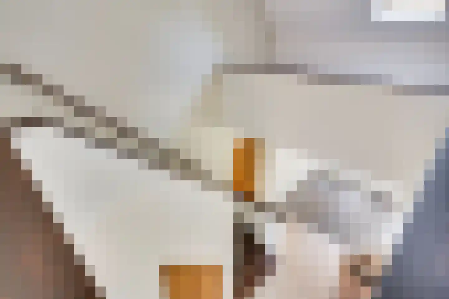 Zevenhuizen 5 a Leende thumbnail 24