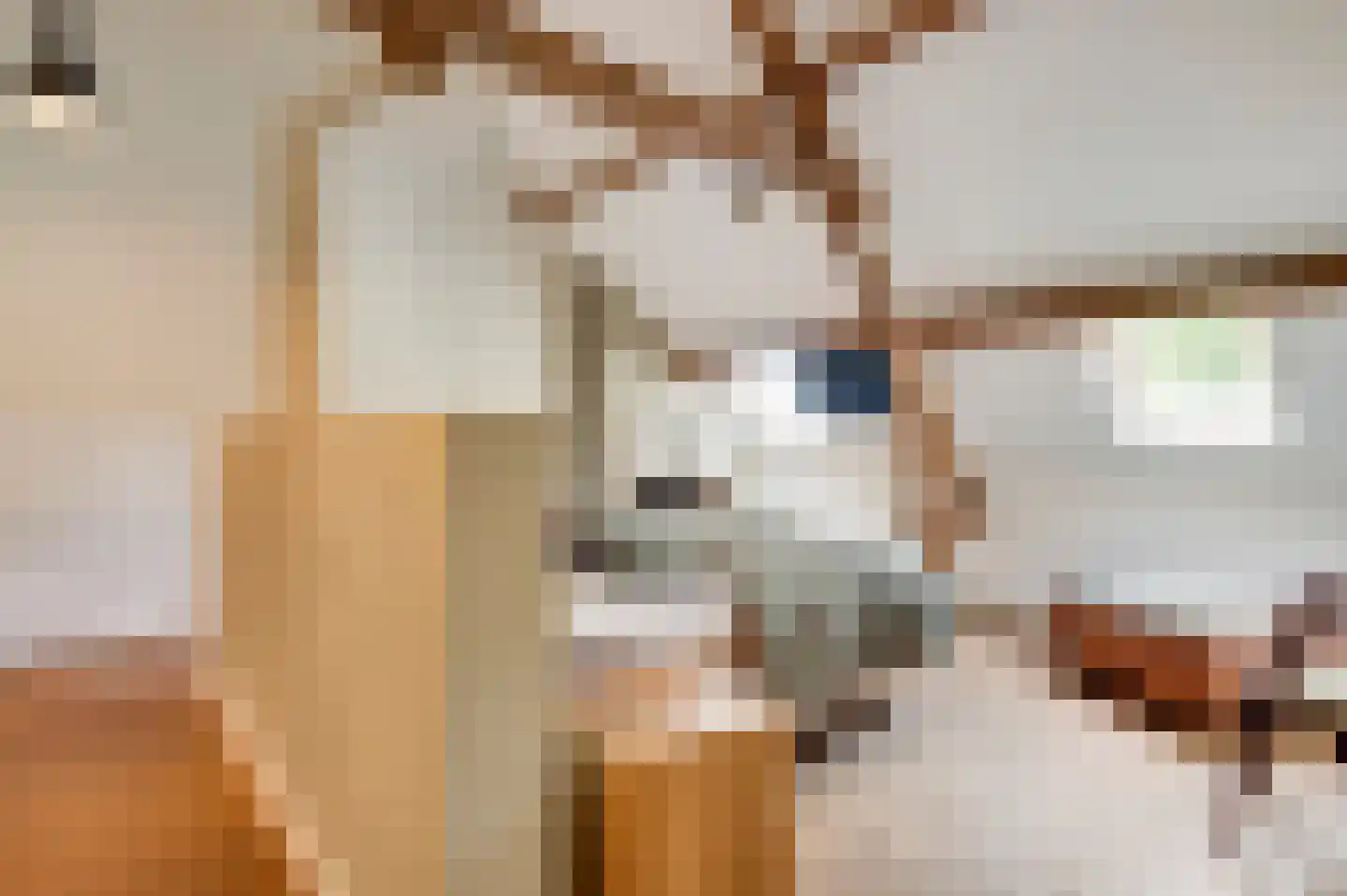 Zevenhuizen 5 a Leende thumbnail 27