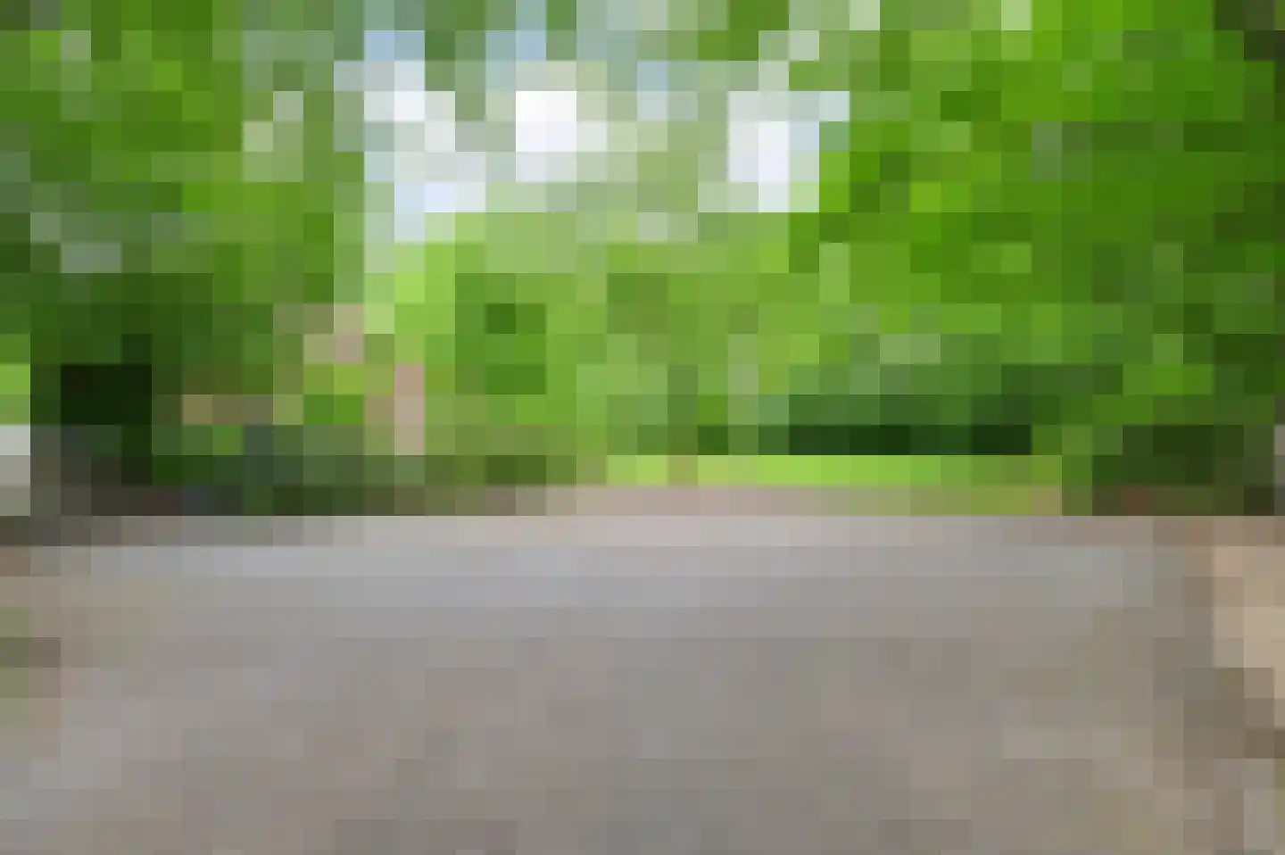 Zevenhuizen 5 a Leende thumbnail 32
