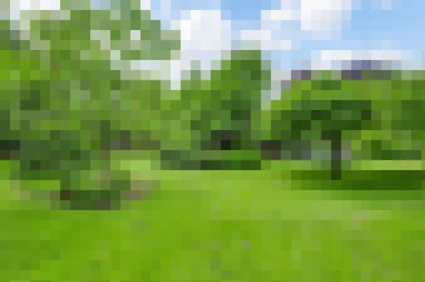 Zevenhuizen 5 a Leende thumbnail 35