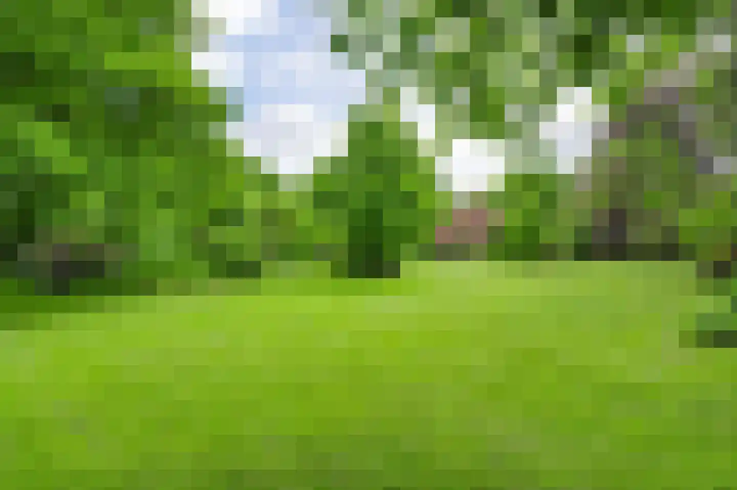 Zevenhuizen 5 a Leende thumbnail 37