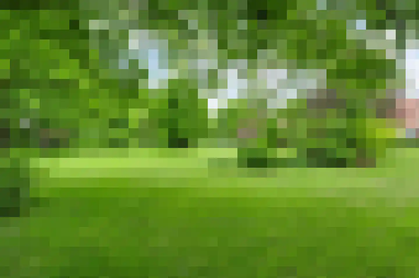 Zevenhuizen 5 a Leende thumbnail 38