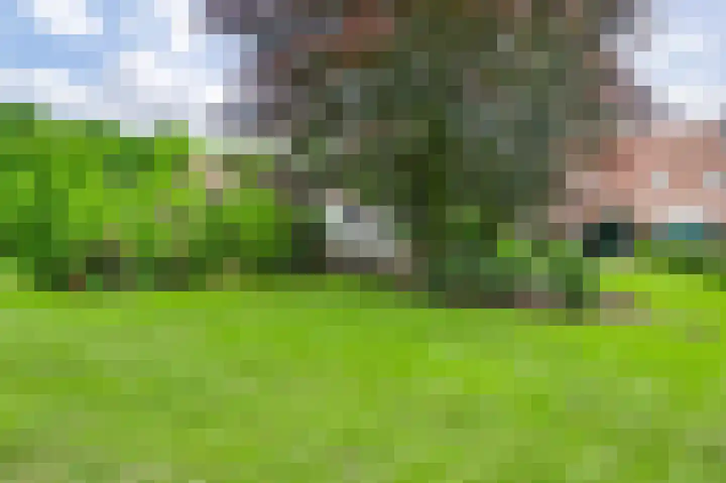 Zevenhuizen 5 a Leende thumbnail 39