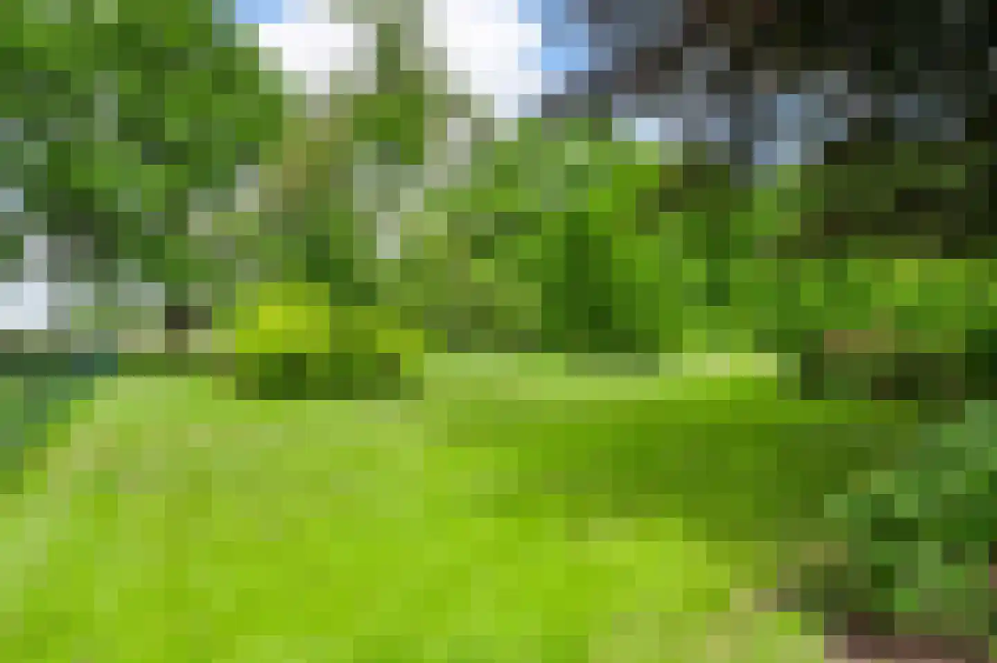 Zevenhuizen 5 a Leende thumbnail 41