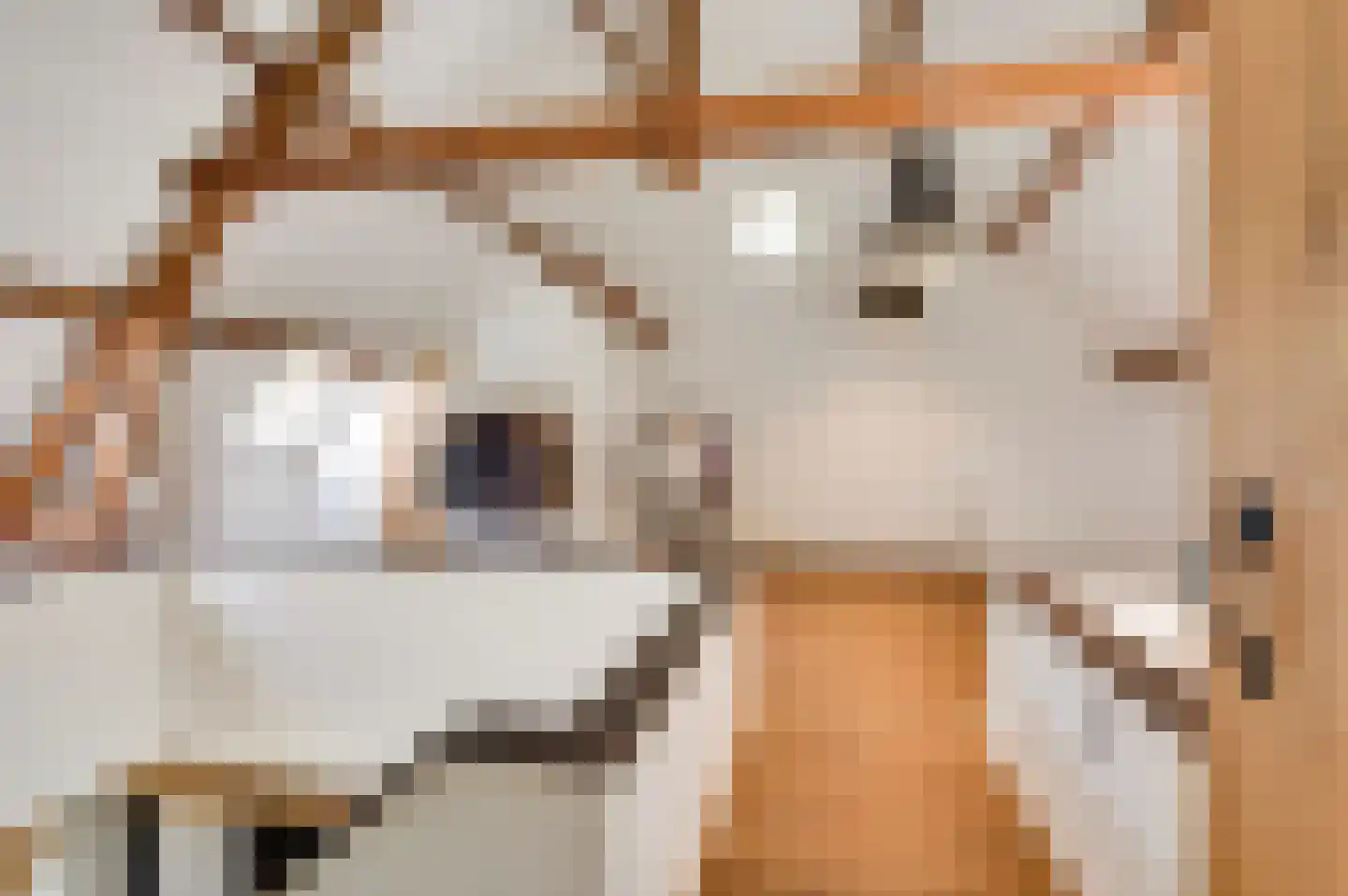 Zevenhuizen 5 a Leende thumbnail 8