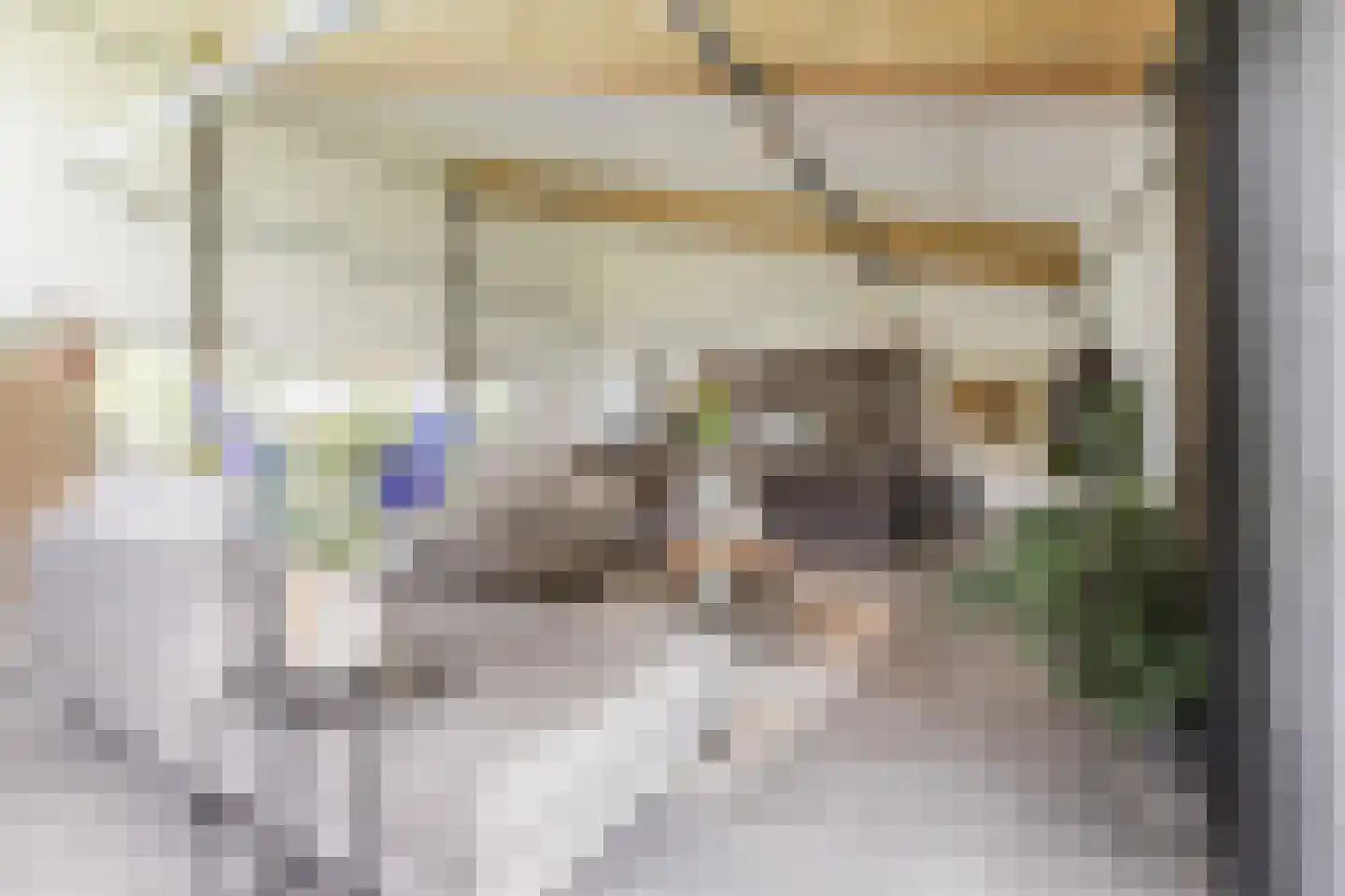 Zevenhuizen 6 Leende thumbnail 10