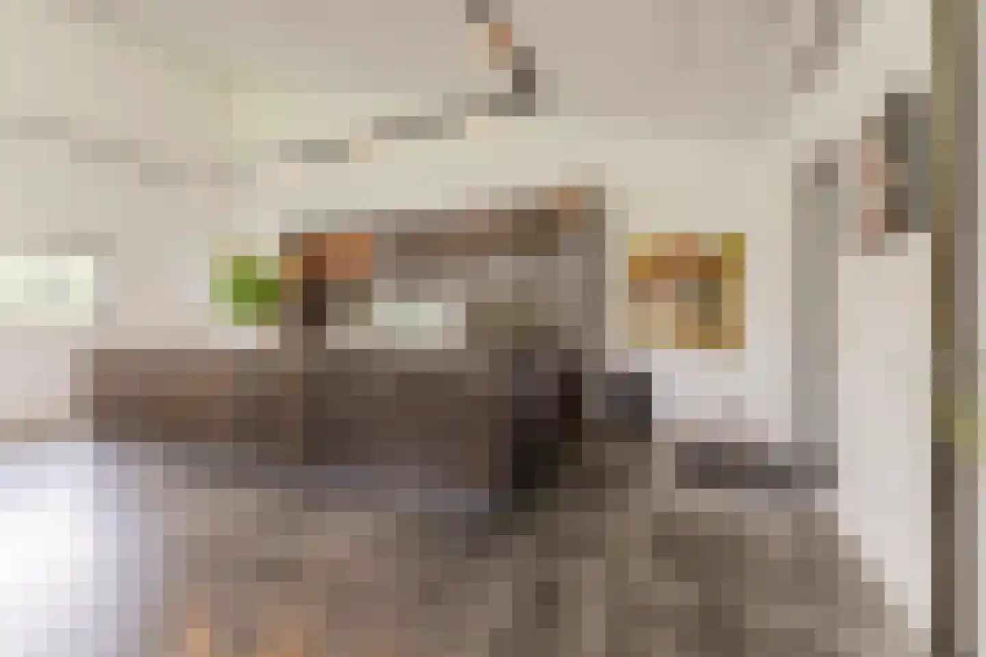 Zevenhuizen 6 Leende thumbnail 12