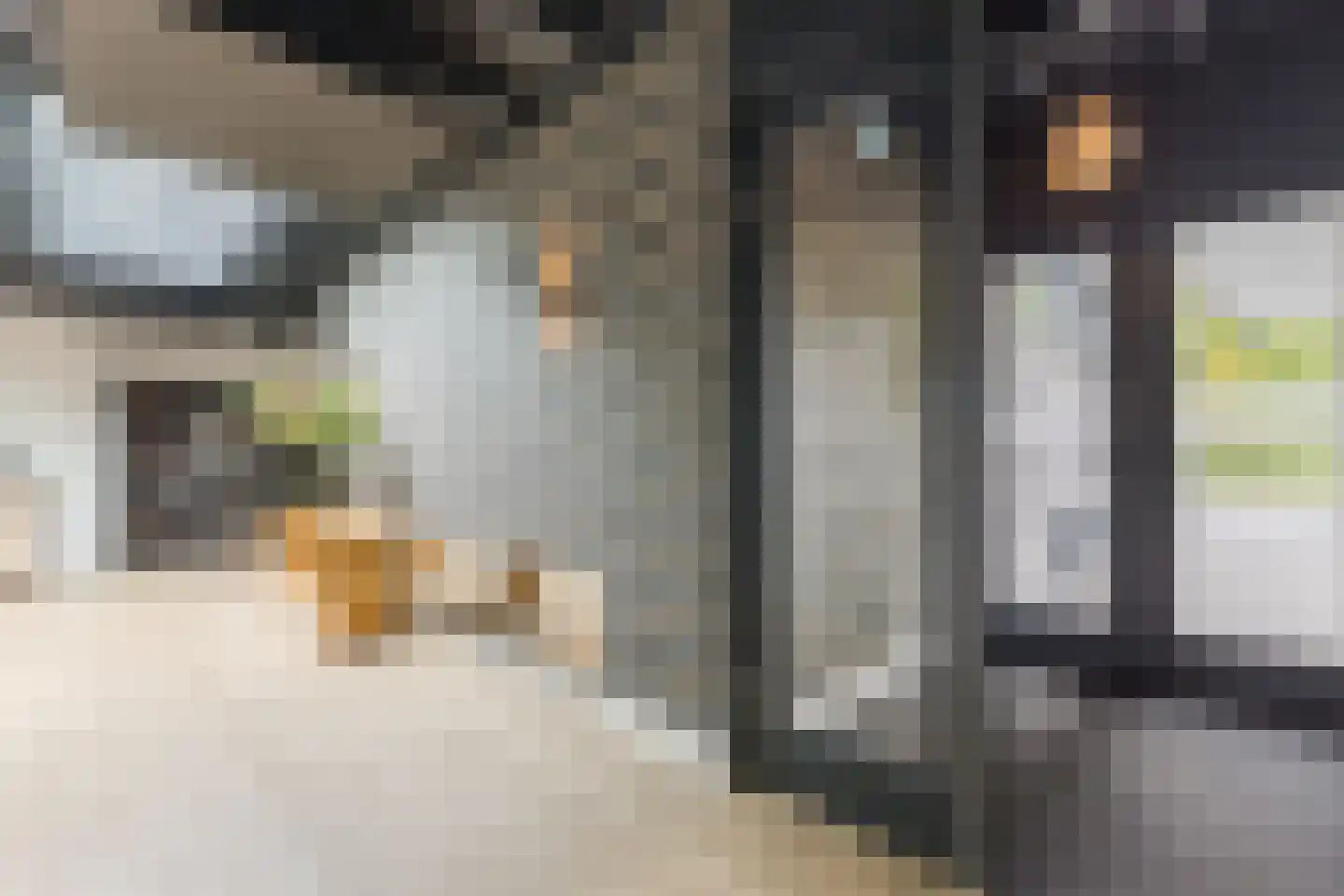 Zevenhuizen 6 Leende thumbnail 15