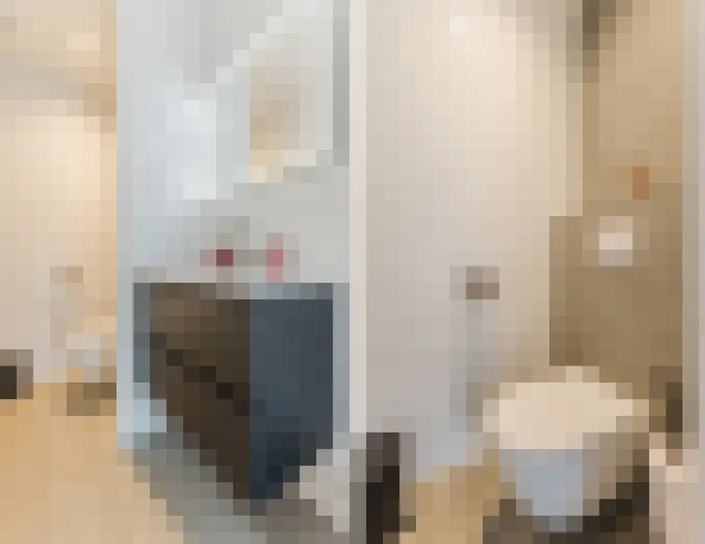 Zevenhuizen 6 Leende thumbnail 17