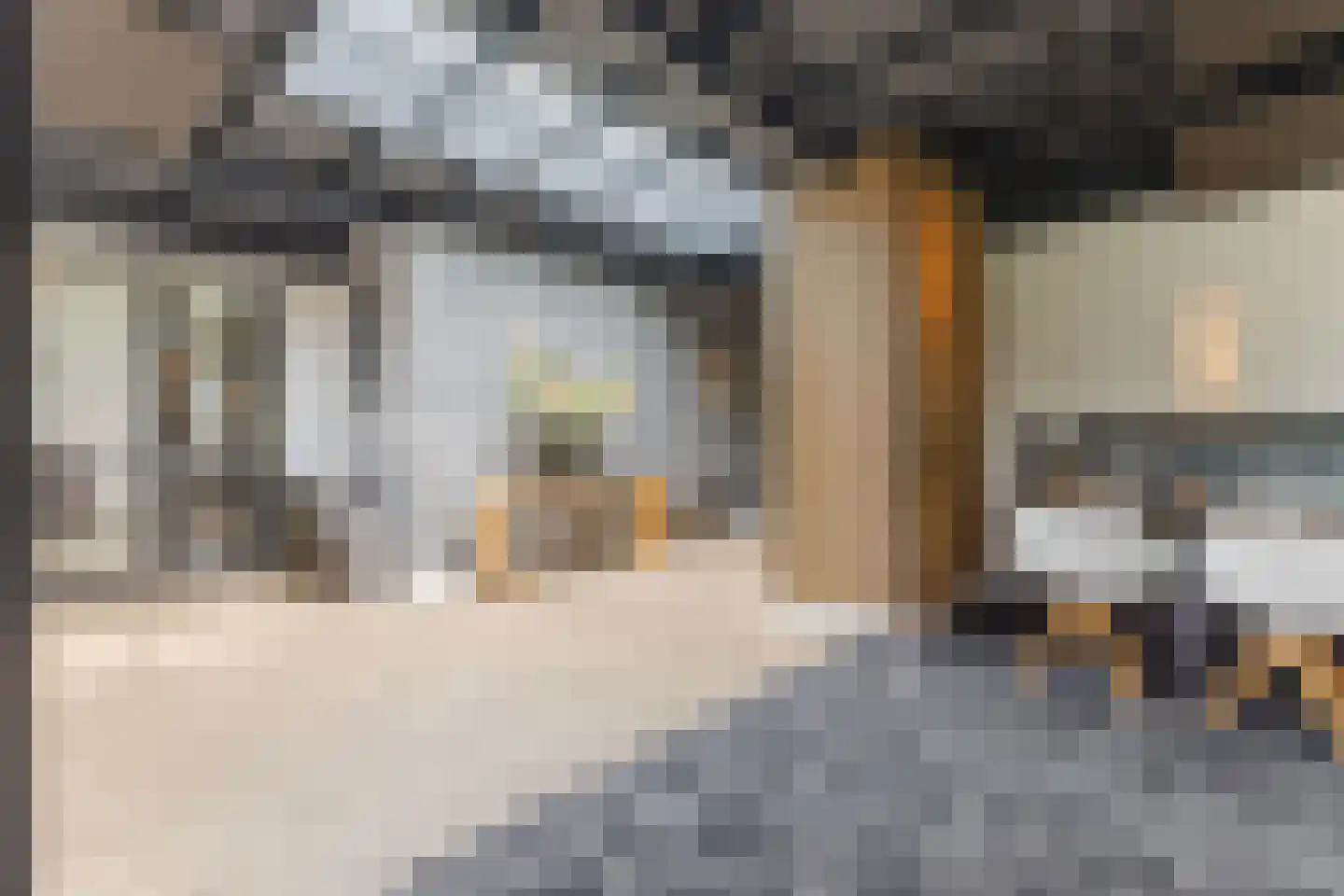 Zevenhuizen 6 Leende thumbnail 18