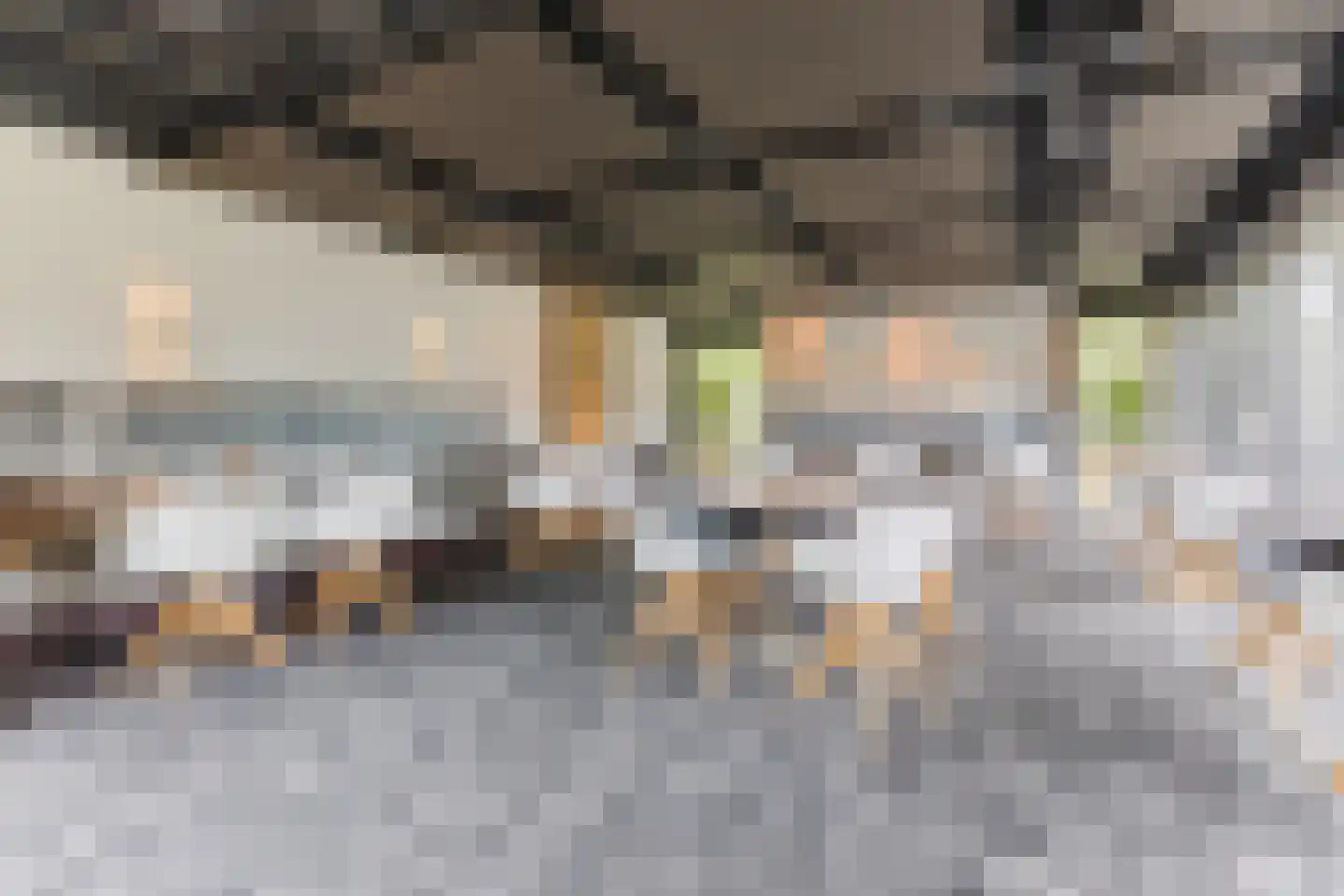 Zevenhuizen 6 Leende thumbnail 19