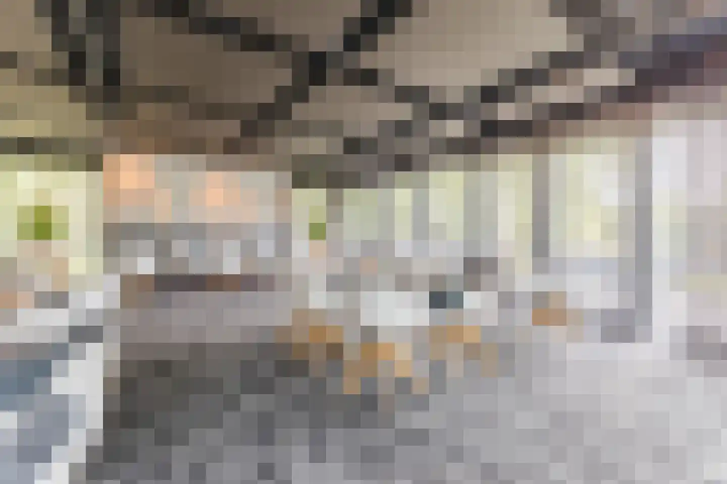 Zevenhuizen 6 Leende thumbnail 20