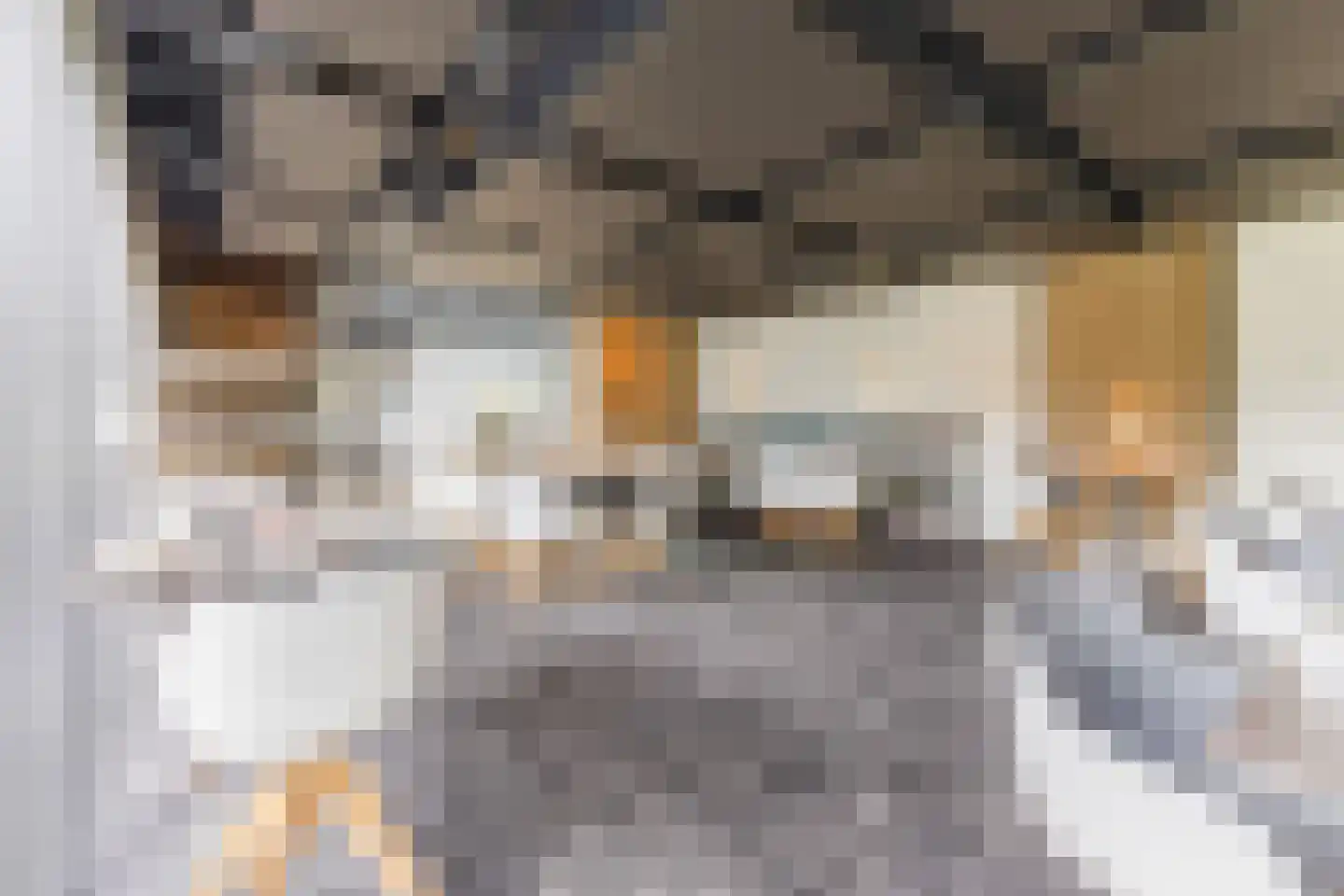 Zevenhuizen 6 Leende thumbnail 21