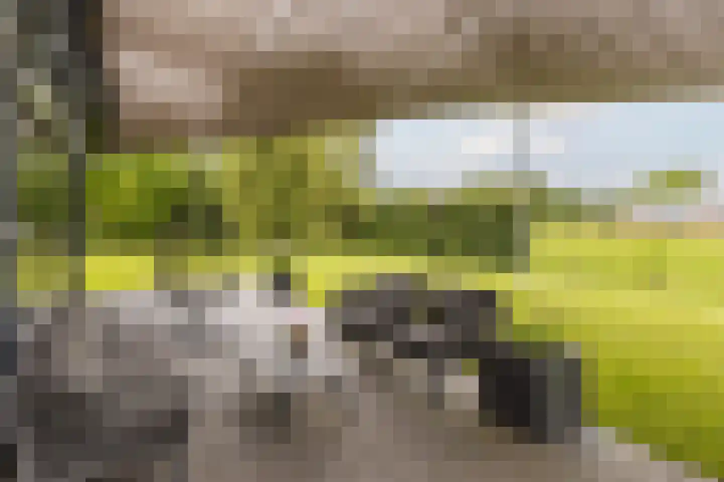 Zevenhuizen 6 Leende thumbnail 27